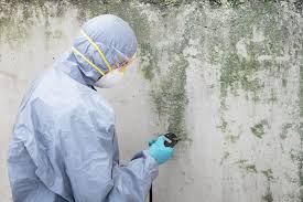 Best Emergency Mold Remediation in Lipscom, AL